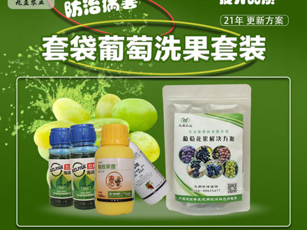 套袋葡萄洗果套装
