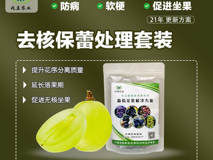 去核保蕾处理套装