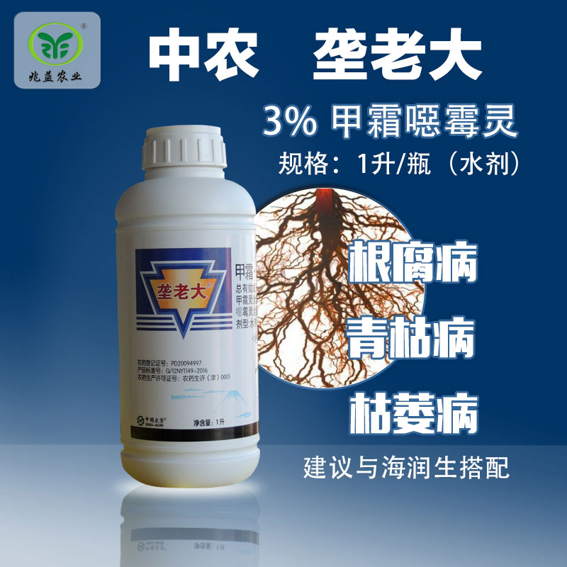 垄老大