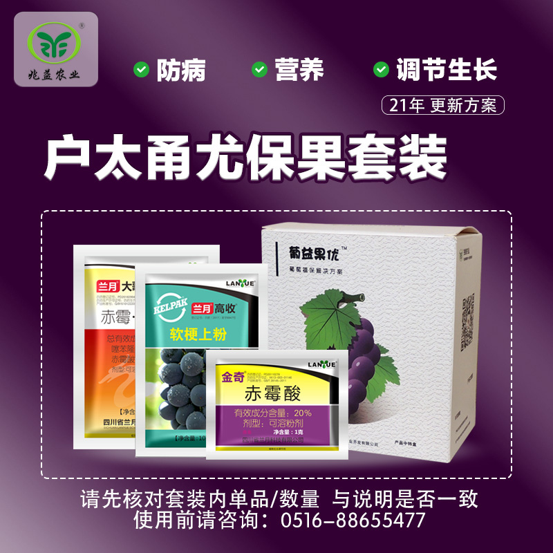 户太保