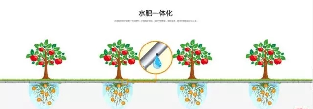 水溶肥、农药你真的会用吗？