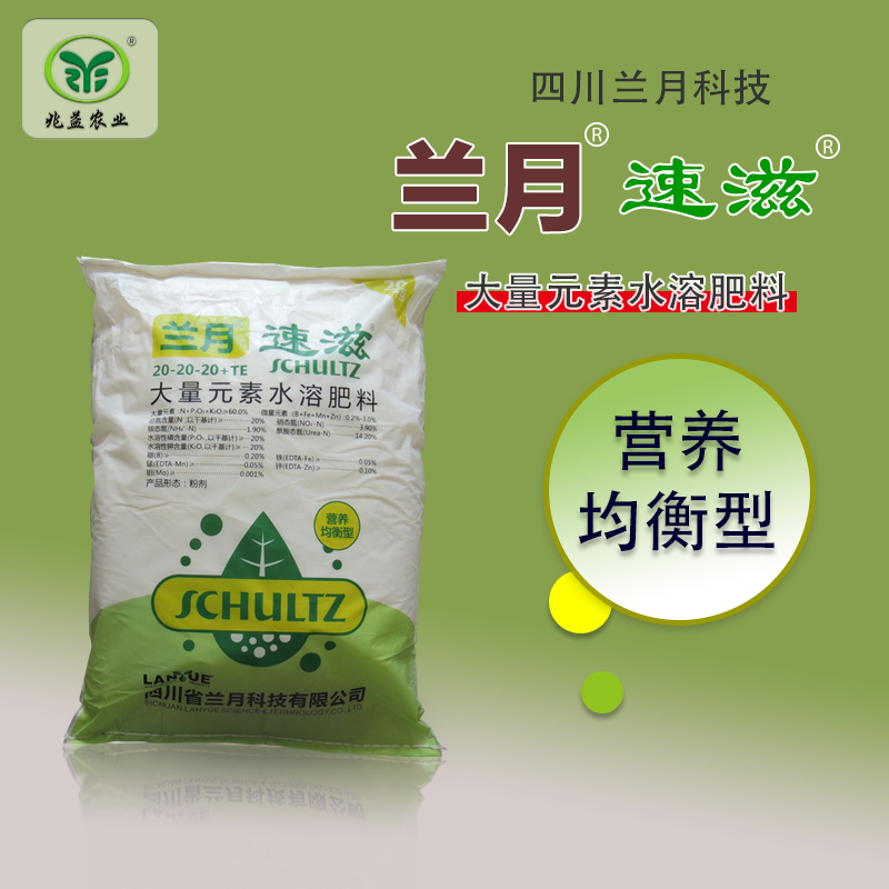 兰月速滋均衡型