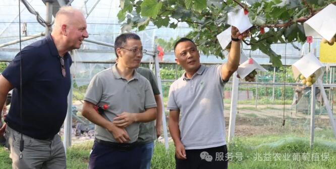 2025兆益农业夏季观摩会圆满结束！