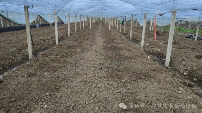 1772441322840584.jpg 007.jpg